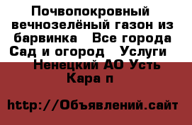 Почвопокровный, вечнозелёный газон из барвинка - Все города Сад и огород » Услуги   . Ненецкий АО,Усть-Кара п.